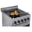 Prestige 19.5" 4 element 1.6 cu. ft. Freestanding Electric Glass Top Range with Convection Oven