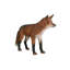 Statue européen fox