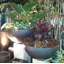 Jodelle Fibreglass Planter-14486181