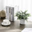 24.89 Cm Faux Eucalyptus Plant in Pot