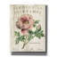 «Pivoine de Printemps» par Sue Schlabach, estampe numérique sur toile-1178288927