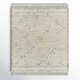 Leanna Moroccan Hand-Knotted Wool Light Gray/Ivory Area Rug
