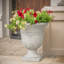 Pot à fleurs polyvalent et classique pour l'intérieur et l'extérieur