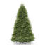 Sapin Dunhill-748437005
