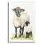 «Sheep» par Leslie Trimbach, art mural en verre acrylique, 24 po x 36 po-935477239