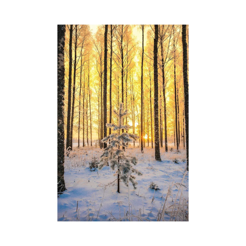 Lonely Pine by Lauri Lohi - Wrapped Canvas Print, 66.04 cm H x 45.72 cm W x 3.175 cm D