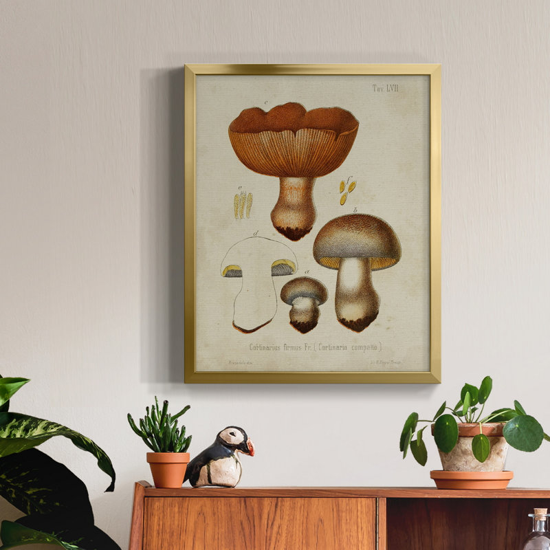 Champignon Variétés I - Toile encadrée de qualité supérieure - Prêt à être accroché