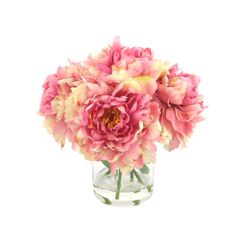 Peonies Arranged in Glass Vase, Pink/Beige