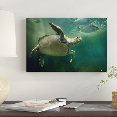 " Green Sea Turtle And Fish, Sabah, Malaysia II " by Tim Fitzharris