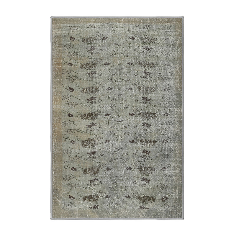 Debord Indoor Rug, Rectangle 5' x 7'