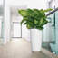 Rondo Pot Planter-29387142-29387138
