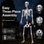 Halloween Skeleton Life Size 185cm Posable Joints Haunted House Patio White