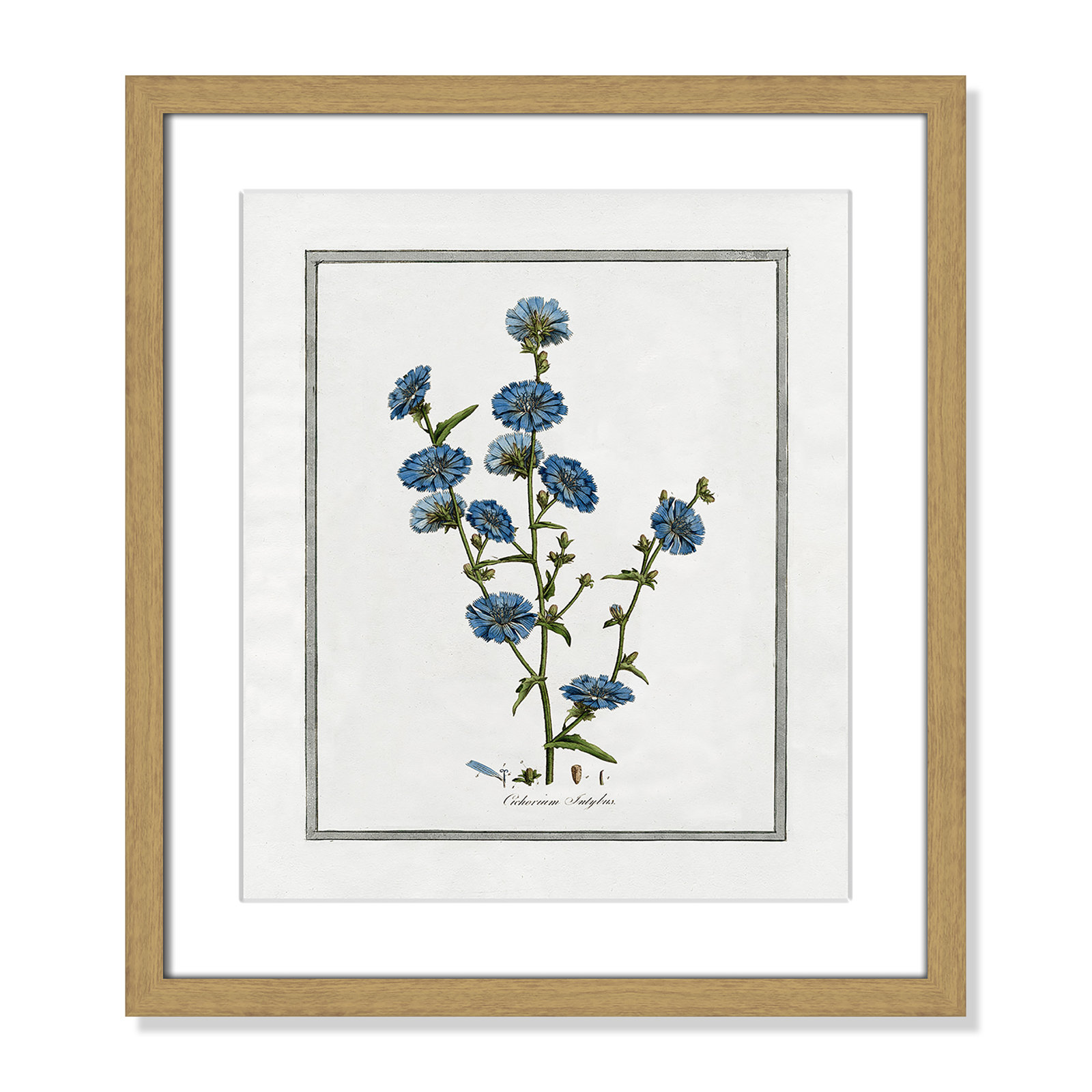 Colombe "Soft Botanical I" Print, 13" W x 15" H, Natural Framed