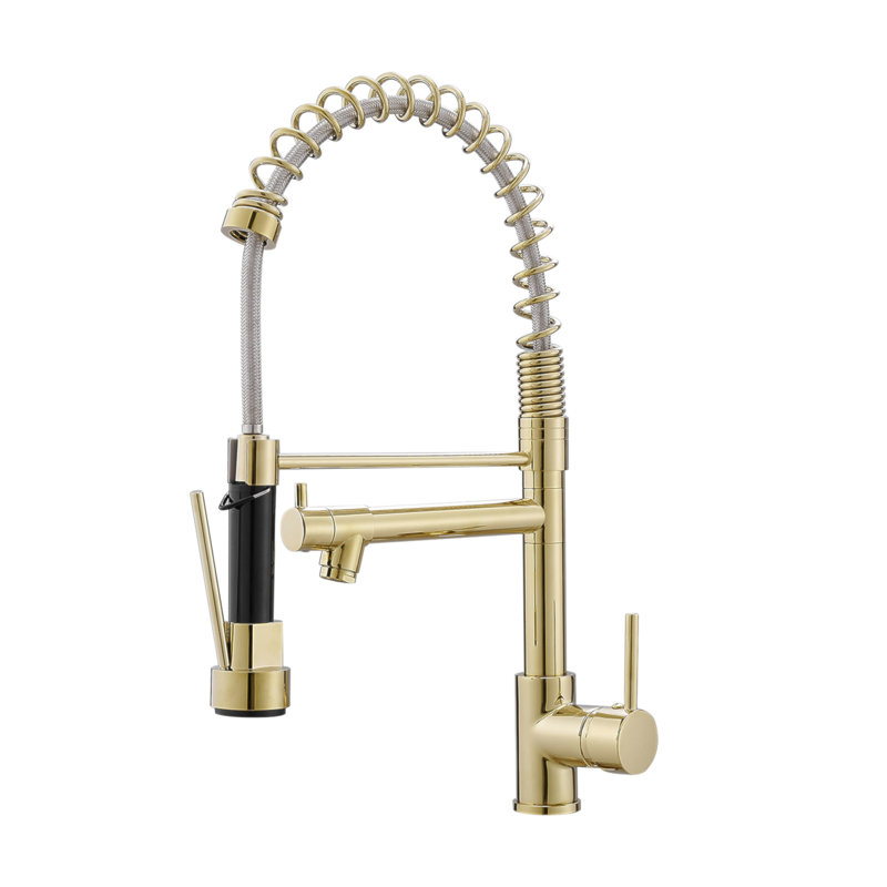 Robinet de cuisine avec douchette rétractable, robinet d'évier de cuisine à poignée simple à levier unique, robinet en or brossé