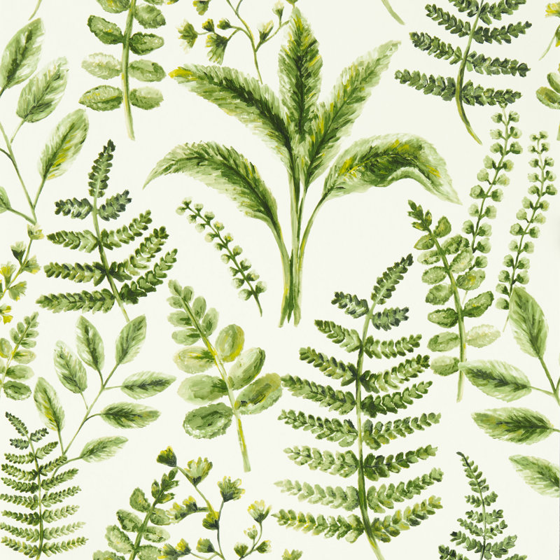 Brackden Marianne 10.05m x 52cm Matte Wallpaper Roll, Forest