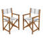 Zaniya Folding Director Chair