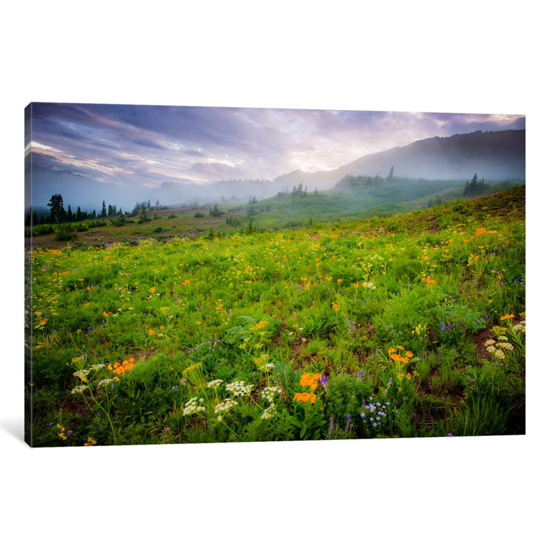 Colorado Flowers by Dan Ballard - Print on Canvas, Wrapped Canvas, 66.04 cm H x 45.72 cm W x 1.91 cm D