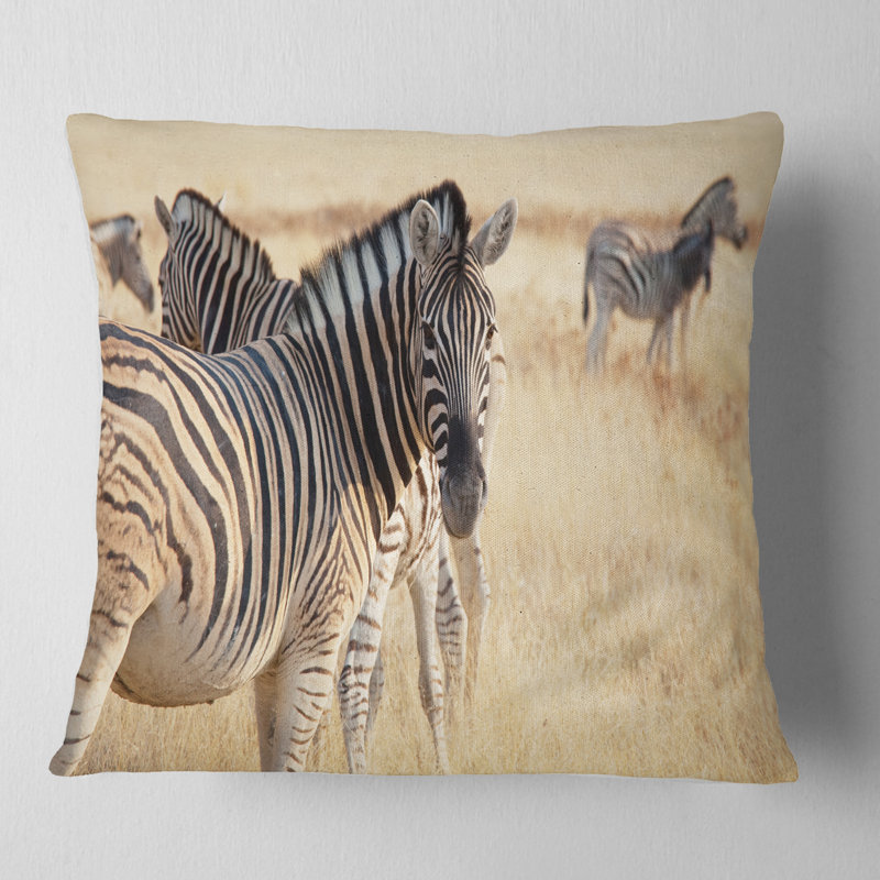 Zebra in Etosha Wandering in Grass - Animal Printed Pillow, 16" x 16", Throw Pillow