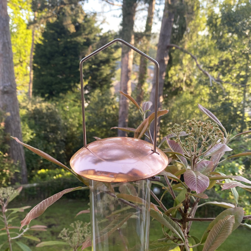 Etzel Metal Hanging Tube Bird Feeder