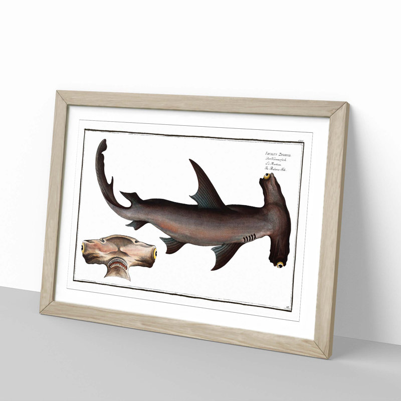 Hammerhead Shark by M.E. Bloch - Picture Frame Painting Print, 48cm H x 65cm W x 2cm D, Oak Framed