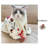 Dog Blankets