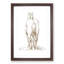 Rear of a Horse by Jean Bernard - Picture Frame Drawing Print-55598057-55598058