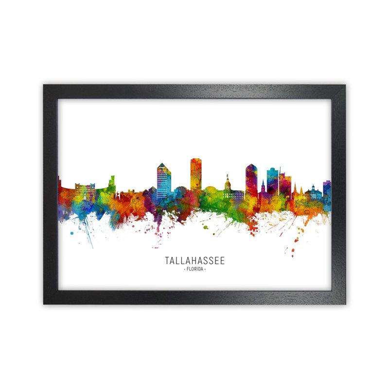 Tallahassee Florida Skyline by Michael Tompsett - Print, 34cm H x 46cm W x 3cm D, Black Framed
