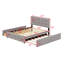 Lit plateforme tapissier avec 2 tiroirs et lit gigogne-2089332634