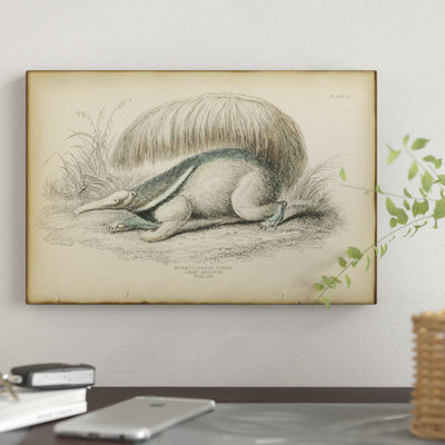 " Great Anteater " by PI Collection