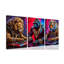 3 Piece Wrapped Canvas Set