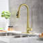 Pull Down Single Handle Kitchen Faucet-1296332708