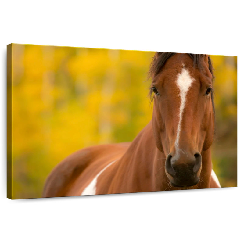 Brampt Painted Horse, 30" H x 45" W