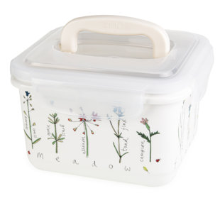 Food Storage Container