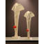 Élément de décoration d'éléphant moderne minimaliste Lucky-116734738