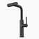 Single Handle Kitchen Faucet with Accessories