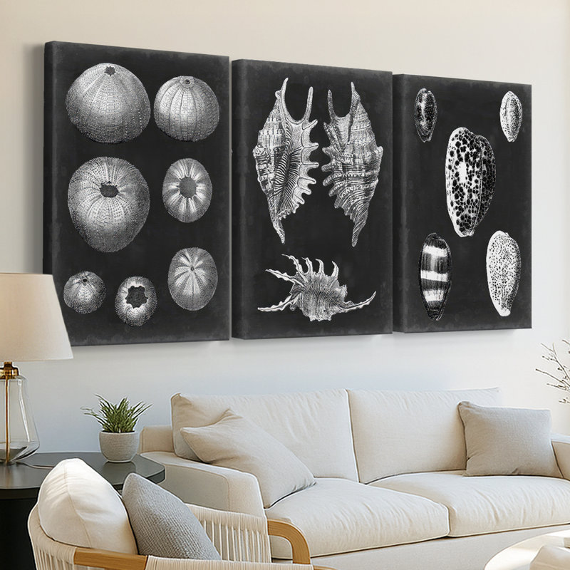 Alabaster Shells IV  -Custom Wrapped Gallery Canvas - 3 Pieces, 60" H x 120" W
