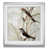 Silver Framed