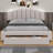 Ashiley Upholstered Panel Storage Bed-1691438781