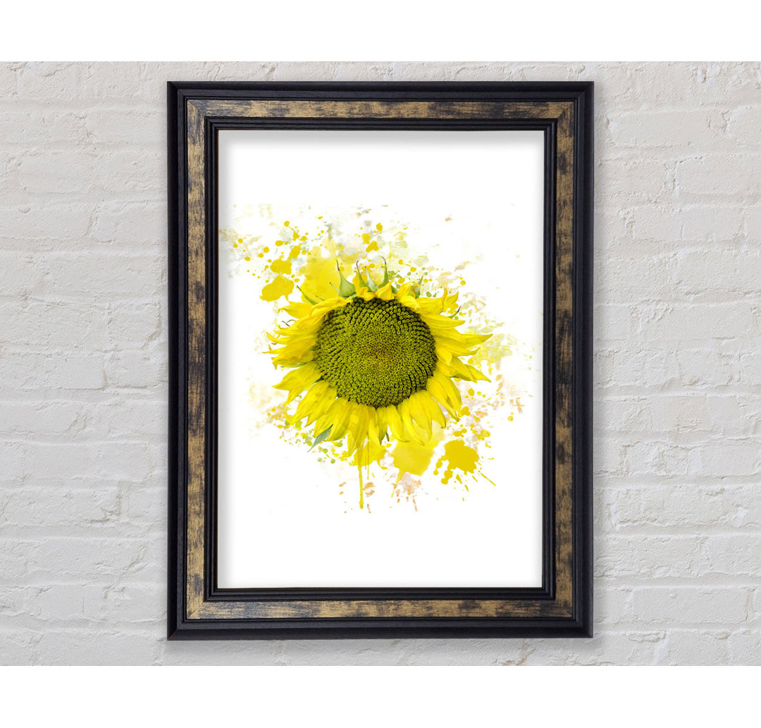 Sonnenblume Splash 2 - Druck