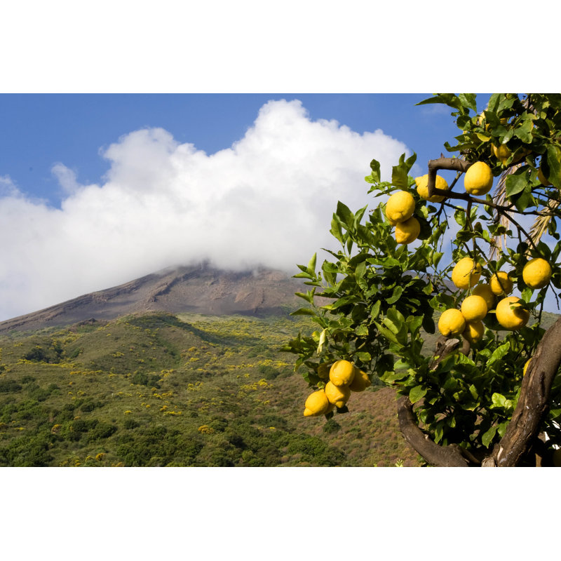 Lemon With Volcano by ROBERTO_GOBBO - Wrapped Canvas Print, 81cm H x 122cm W