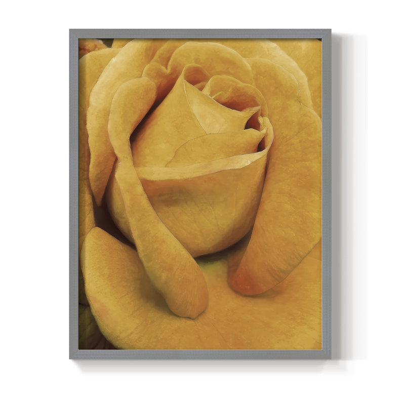 «Soft Flower Petals IV», reproduction encadrée - bois massif, H 11 po x l 9 po, Gris