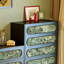 Sheniece