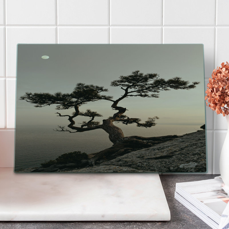 Ambesonne Tree Cutting Board Large Size Lonely Juniper Tree Fall Brown Grey