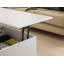 Casaleggio Lift Top Coffee Table with Storage-914260141