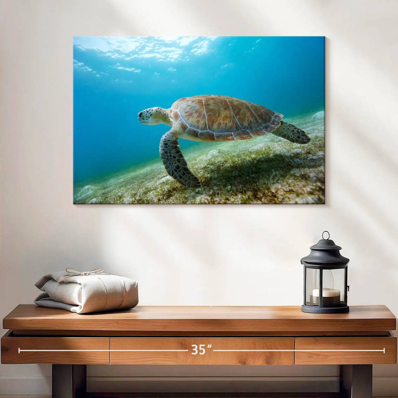 Hawksbill Turtle In Motion, 16" H x 24" W