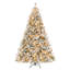 8 sapins de Noël