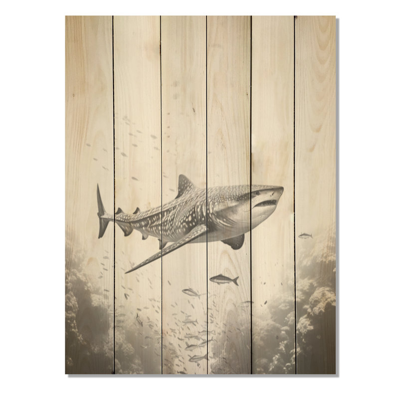 Monochrome Grey Shark Dance I - Shark Wood Wall Art On Natural Pine Wood, 32" H x 24" W