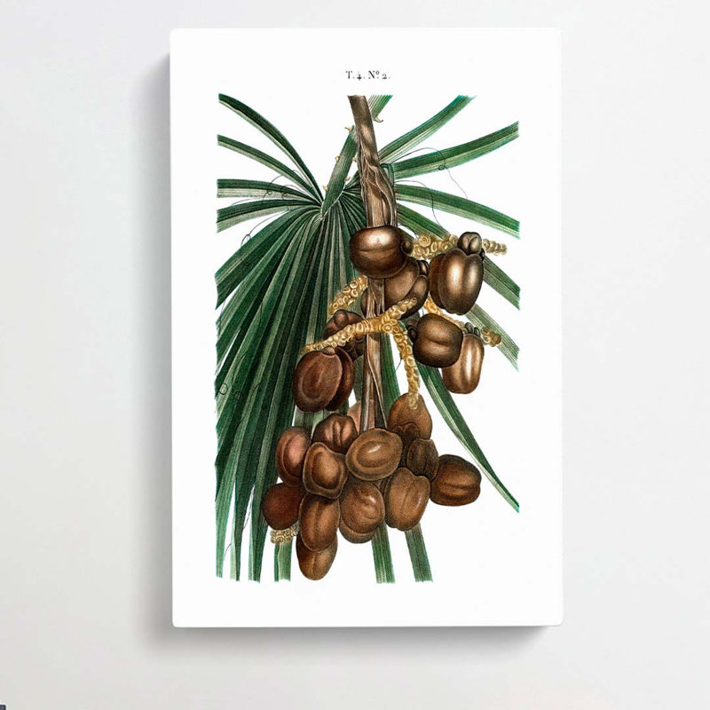 Date Palm by Louis Renard - Wrapped Canvas, 50cm H x 35cm W x 3cm D