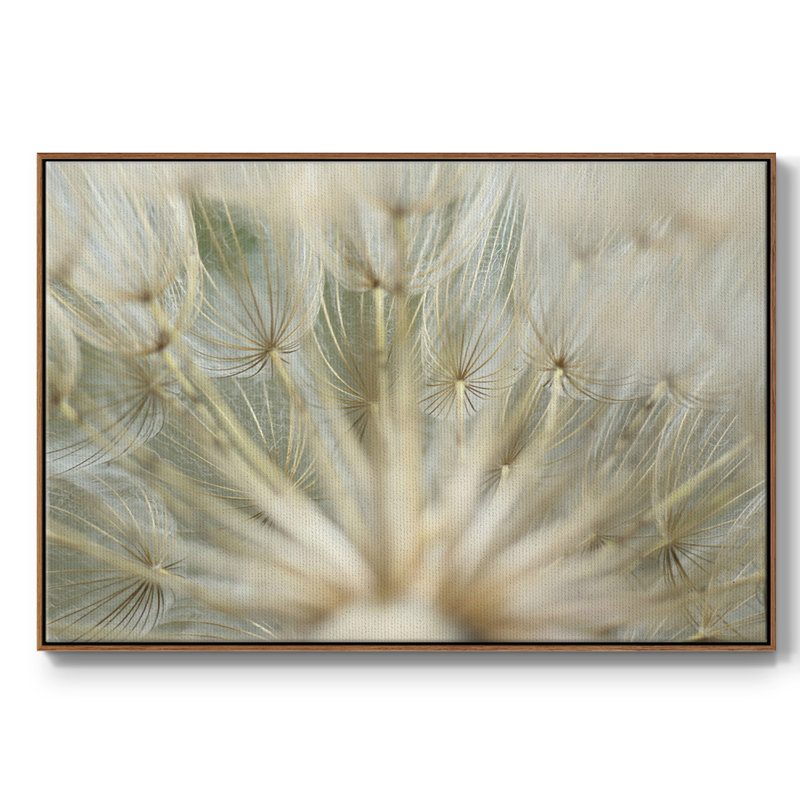Macro Dandelion IV, reproduction d'art sur toile, Noyer, H 25 po x l 37 po x P 2 po
