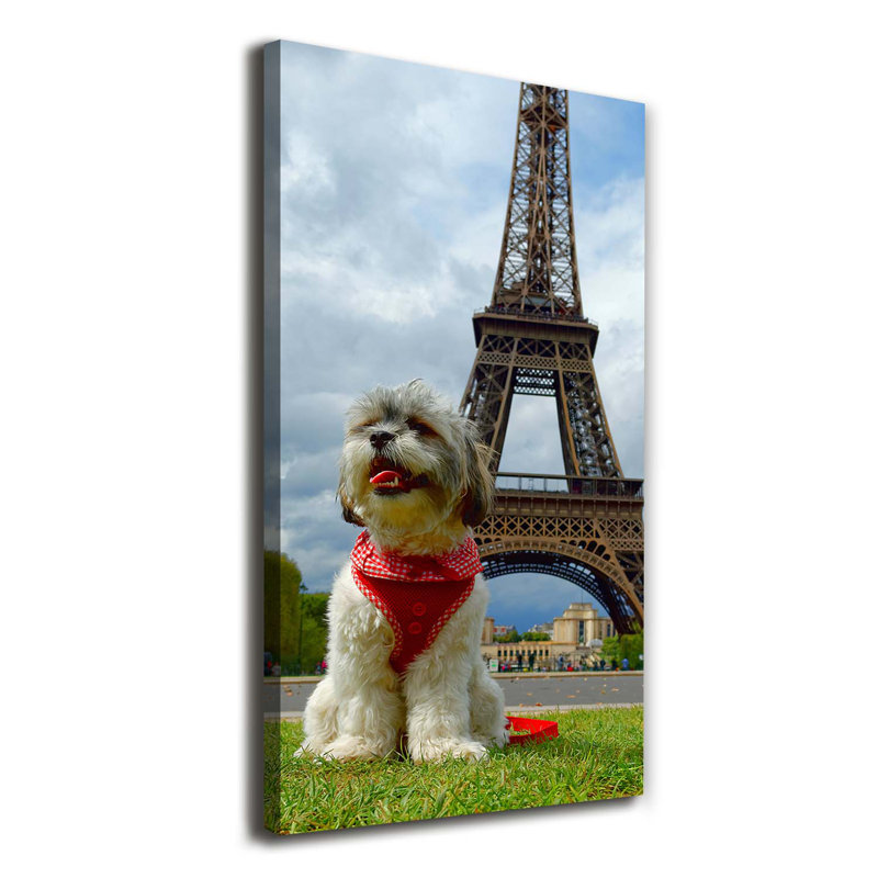 Dog In Paris - Wrapped Canvas Print